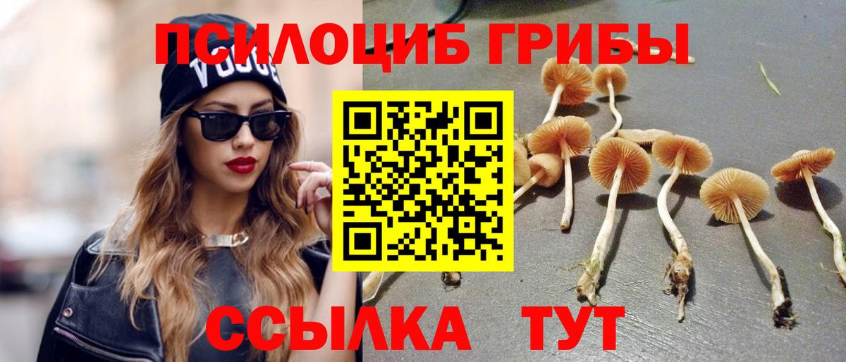 Псилоцибиновые грибы Psilocybine cubensis Протвино