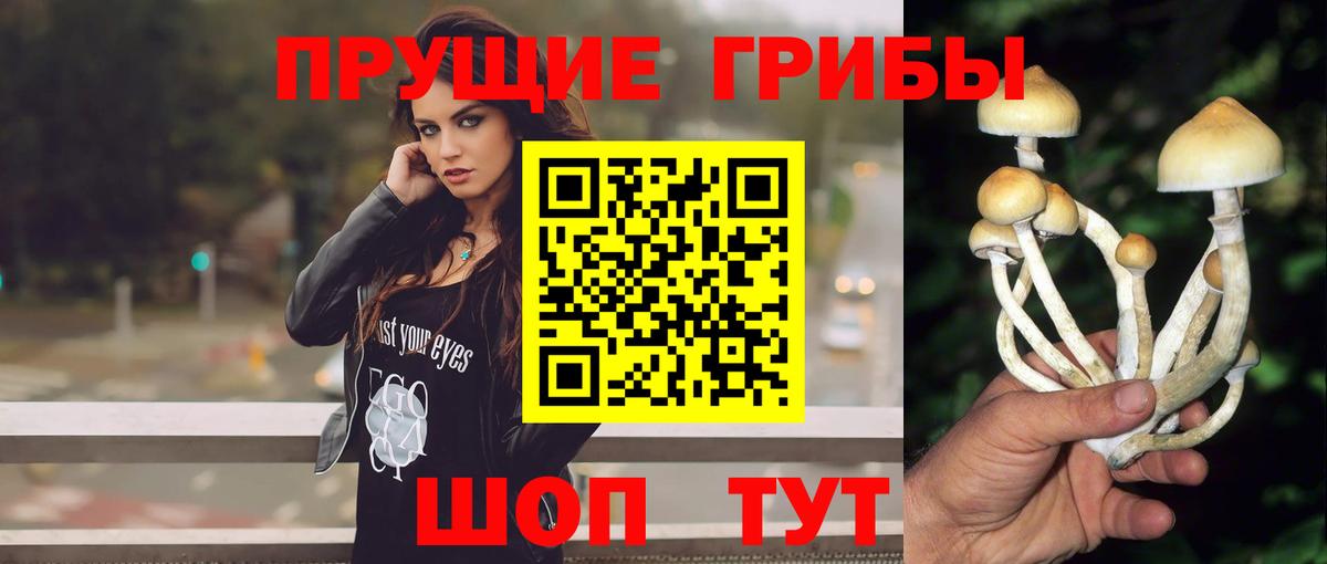 Протвино  Галлюциногенные грибы Psilocybine cubensis  Вход с VPN 